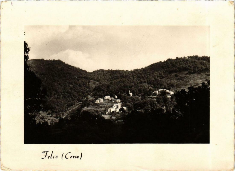 Carte postale ancienne Corse Felce à Felce