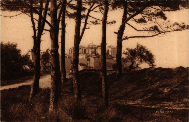Carte postale ancienne Corse - Calvi à Calvi