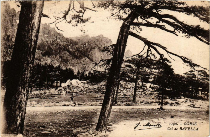 Carte postale ancienne Corse Col de Bavella