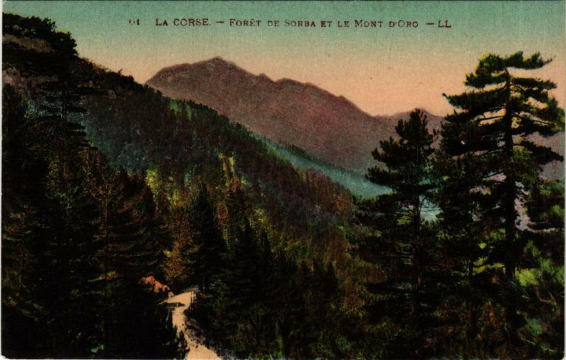 Carte postale ancienne Corse - Foret de Sorba et le Mont d'Oro