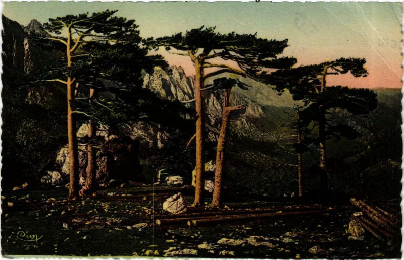 Carte postale ancienne Corse Col de Bavella