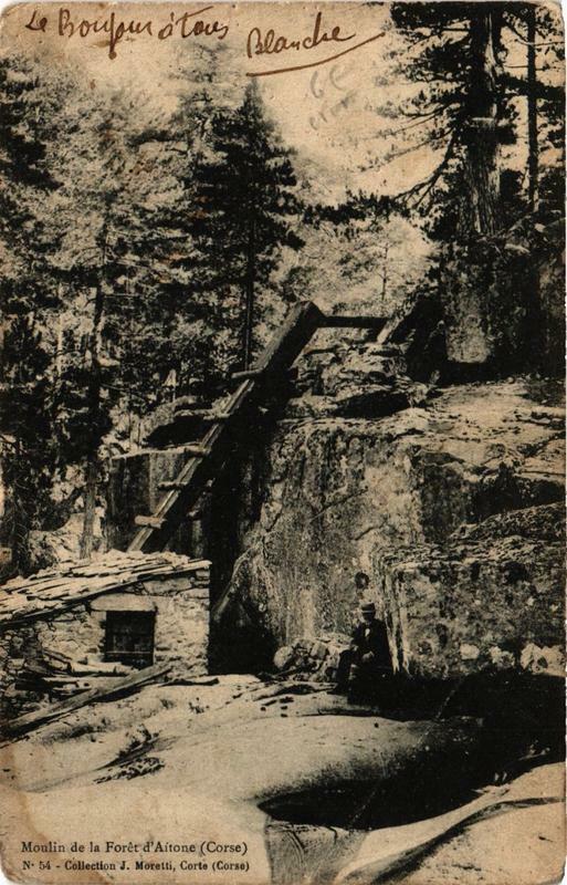 Carte postale ancienne Corse Moulin de la Foret d'Aitone