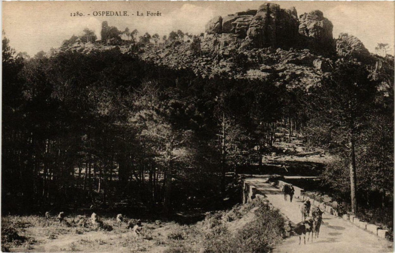 Carte postale ancienne Corse Ospedale - La Foret
