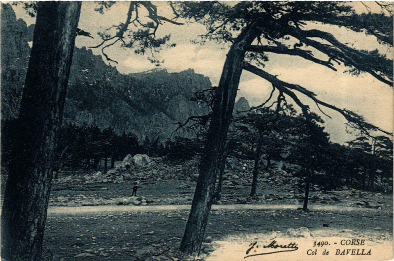 Carte postale ancienne Corse Col de Bavella