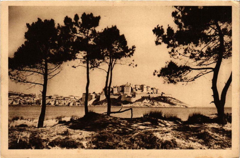 Carte postale ancienne Corse - Calvi - La haute et Basse Ville vues de la Plage à Calvi