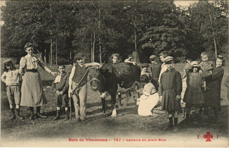 Carte postale ancienne Bois de Vincennes - Laiterie en plein Bois à Paris 12e