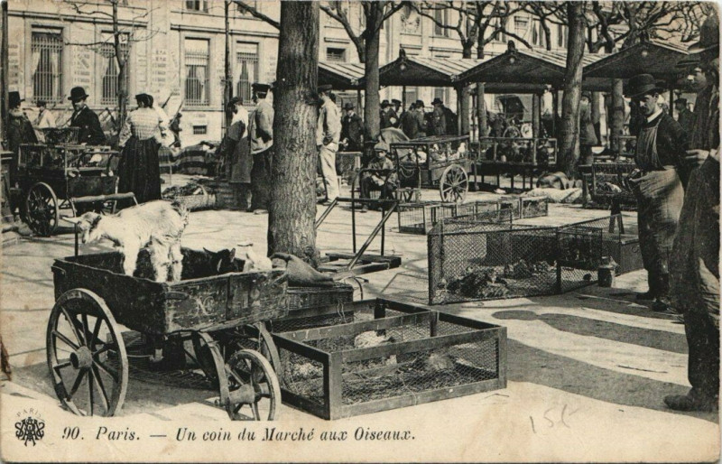 Carte postale ancienne Paris Un Coin du Marché aux Oiseaux
