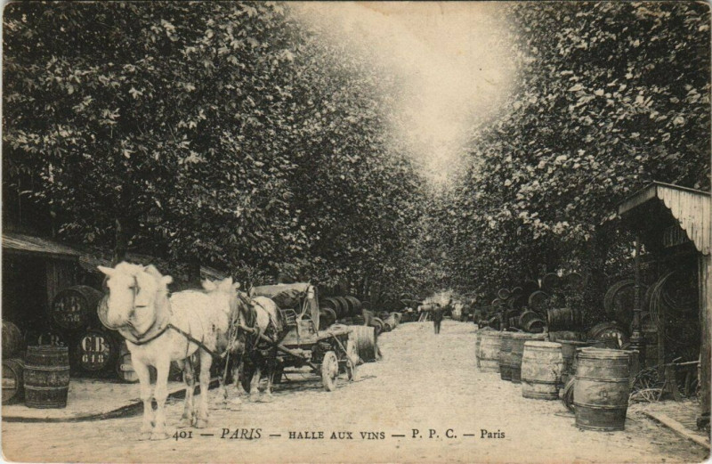 Carte postale ancienne Paris 5e Halle aux Vins à Paris 5e