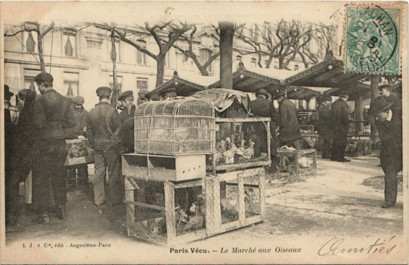 Carte postale ancienne Paris Vécu. Le Marché aux Oiseaux