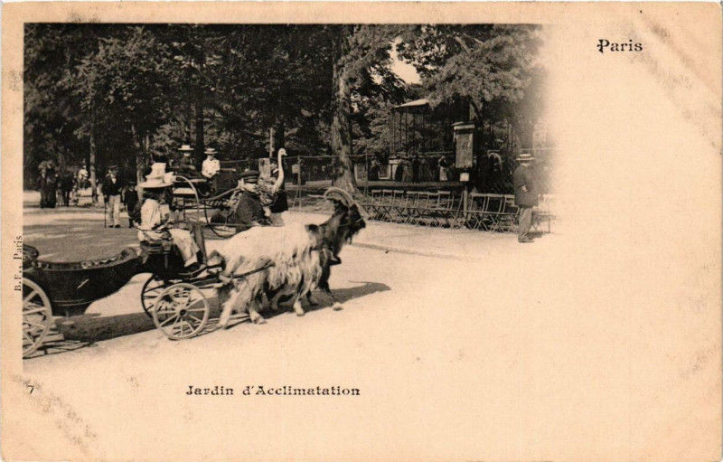 Carte postale ancienne Jardin d'Acclimatation à Paris