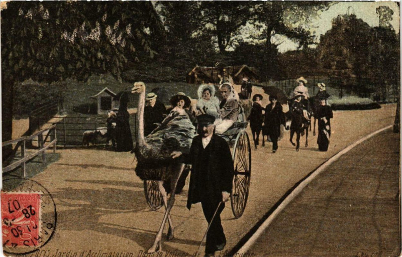 Carte postale ancienne Jardin d'Acclimatation - Dans la Voiture de l'Autruche à Neuilly-sur-Seine