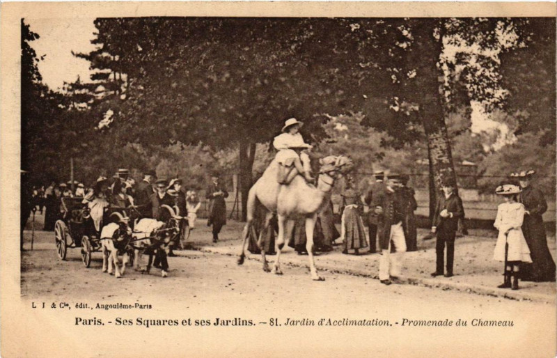 Carte postale ancienne Jardin d'Acclimatation - Promenade du Chameau à Paris