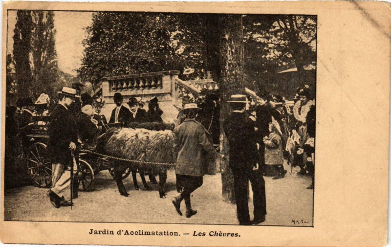 Carte postale ancienne Jardin d'Acclimatation - Les Chèvres à Paris 16e