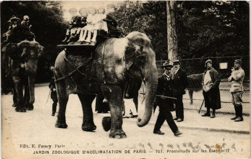Carte postale ancienne Jardin Zoologique d'Acclimatation de Paris - Promenade sur les Eléphants à Neuilly-sur-Seine
