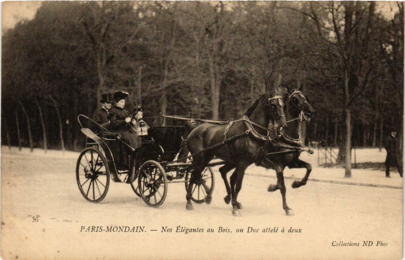 Carte postale ancienne Paris-Mondain - Nos Elégantes au Bois, un Duc attelé à deux à Paris 16e