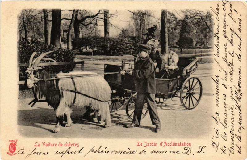 Carte postale ancienne Le Jardin d'Acclimatation - La Voiture de chèvres à Paris