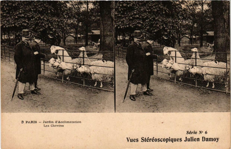 Carte postale ancienne Jardin d'Acclimatation - Les Chèvres à Neuilly-sur-Seine