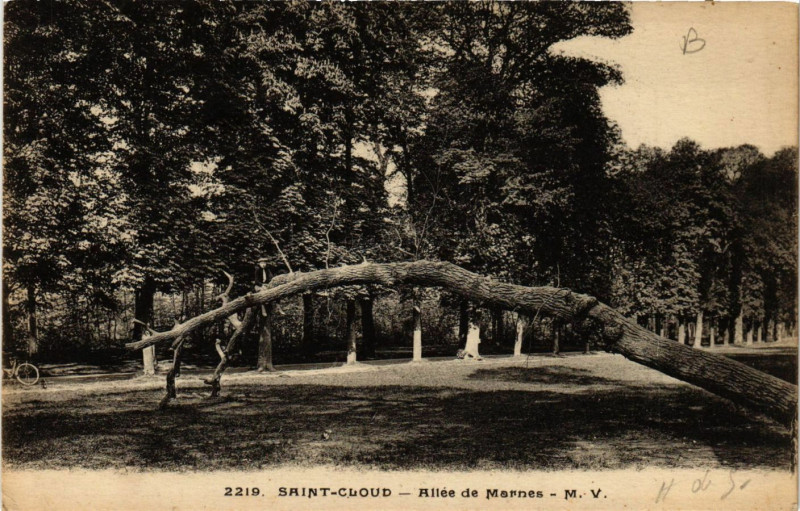 Carte postale ancienne Saint-Cloud - Allée des Marnes à Saint-Cloud