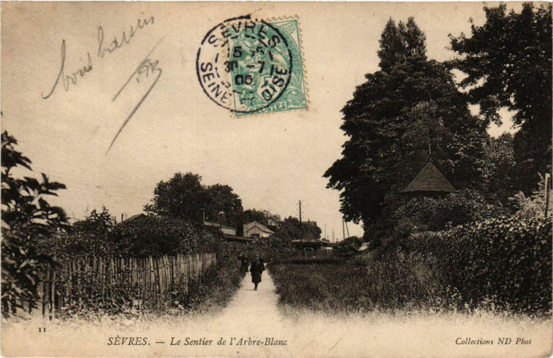 Carte postale ancienne Sevres - Le Sentiner de l'Arbre-Blanc à Sèvres