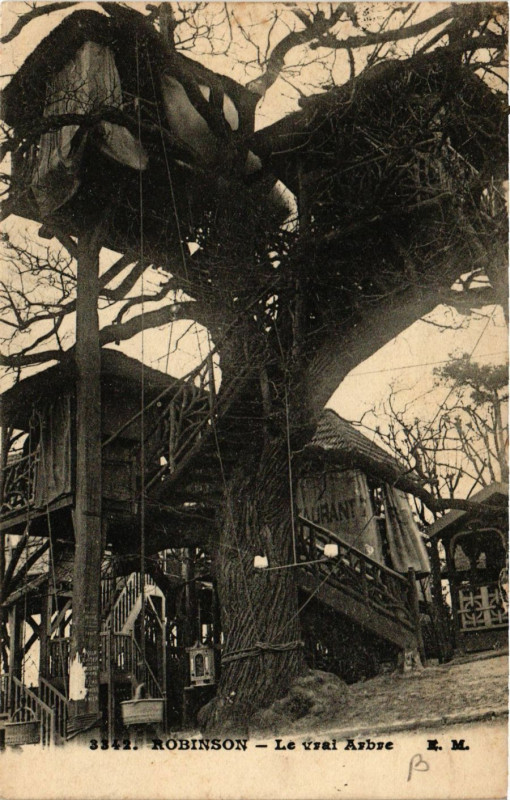 Carte postale ancienne Robinson - Le vrai Arbré