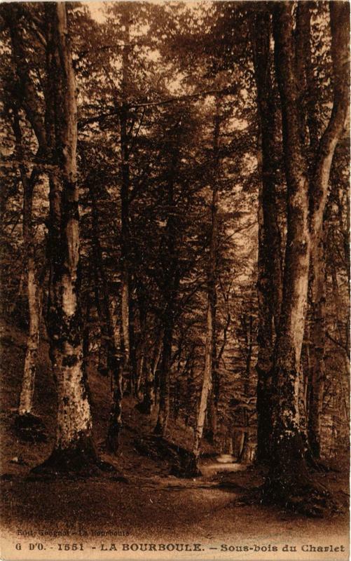Carte postale ancienne La Bourboule Sous-Bois du Charlet à La Bourboule