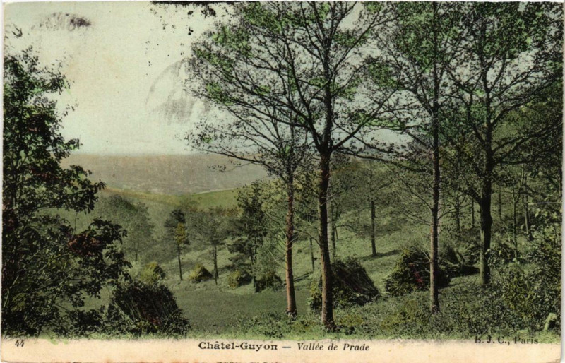 Carte postale ancienne Chatel-Guyon Vallée de Prade