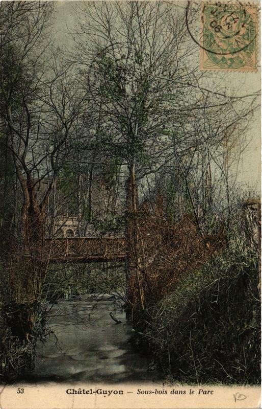 Carte postale ancienne Chatel-Guyon Sous-Bois dans le Parc