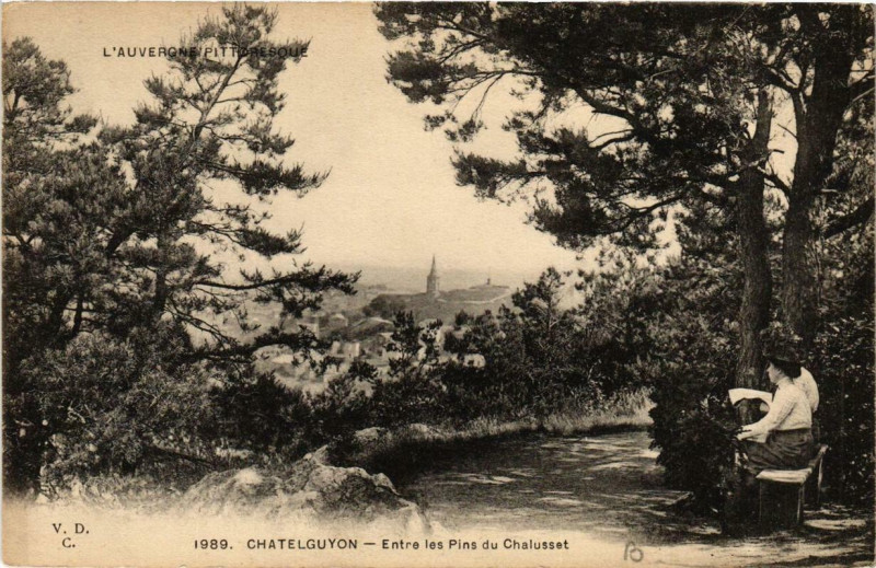 Carte postale ancienne Chatel-Guyon Entre les Pins du Chalusset à Chalus