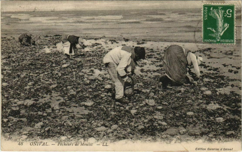 Carte postale ancienne Onival-sur-Mer Pecheur de Moules