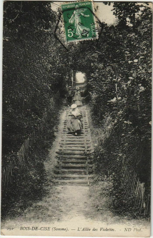 Carte postale ancienne Bois-de-Cise Allée des Violettes
