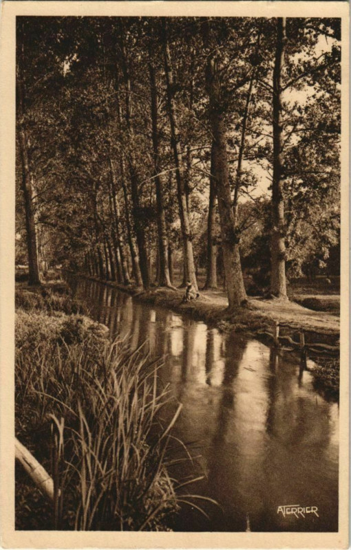 Carte postale ancienne Bauchamps Un bras de la Bresle à Bresle