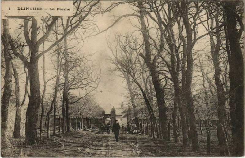 Carte postale ancienne Mers-les-Bains La Ferme Blingues à Mers-les-Bains