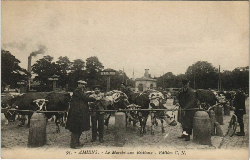 Carte postale ancienne Amiens Le Marché aux Bestiaux à Amiens
