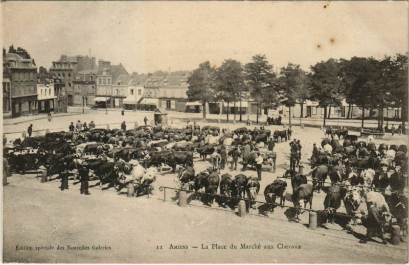 Carte postale ancienne Amiens Place du Marché aux Cheveaux à Amiens