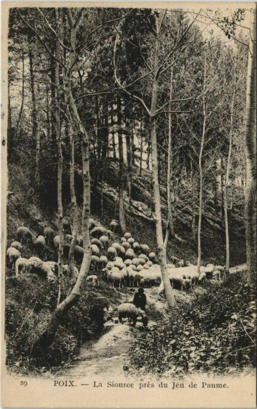 Carte postale ancienne Poix La Source pres du Jeu de Paume