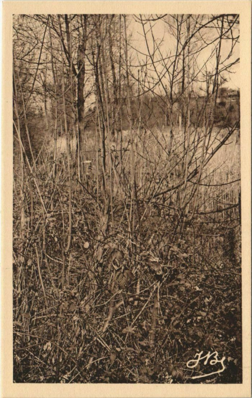 Carte postale ancienne Peronne Autour du Cam