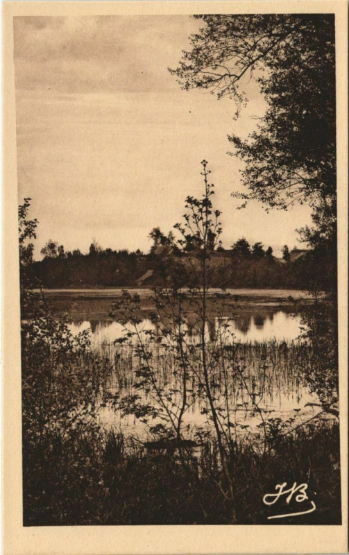 Carte postale ancienne Peronne Autour du Cam