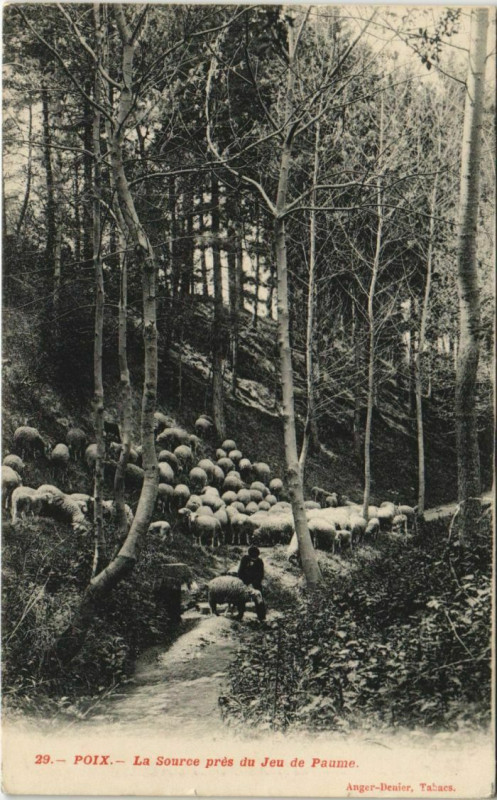Carte postale ancienne Poix La Source pres du Jeu de Paume
