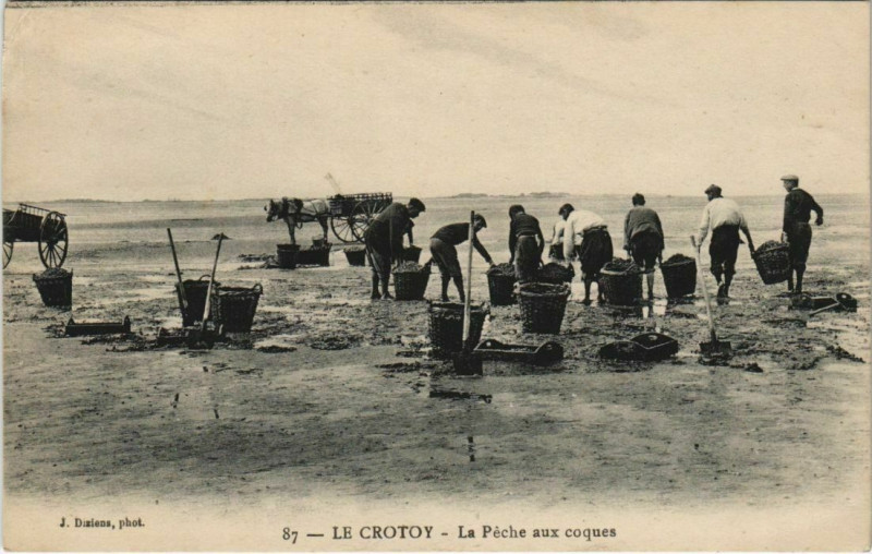 Carte postale ancienne Le Crotoy La Peche aux coques au Crotoy