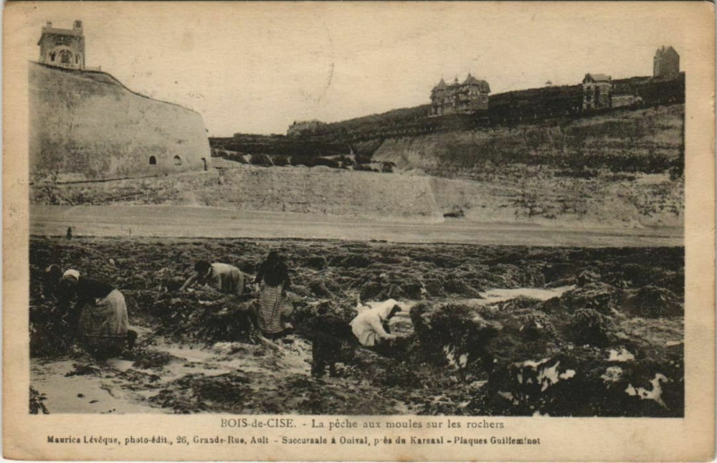 Carte postale ancienne Bois-de-Cise La Peche aux moules
