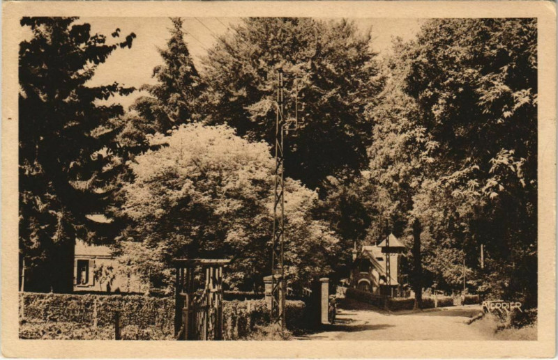Carte postale ancienne Bois-de-Cise Route descendant