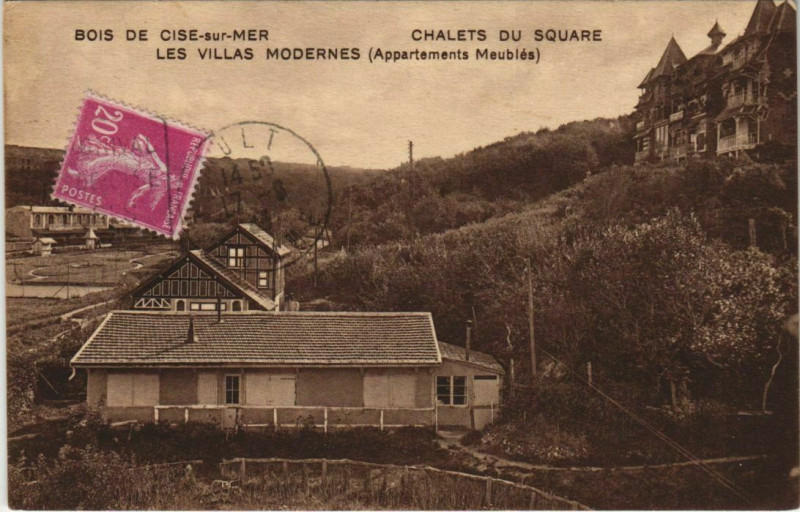 Carte postale ancienne Bois-de-Cise Les Villas modernes