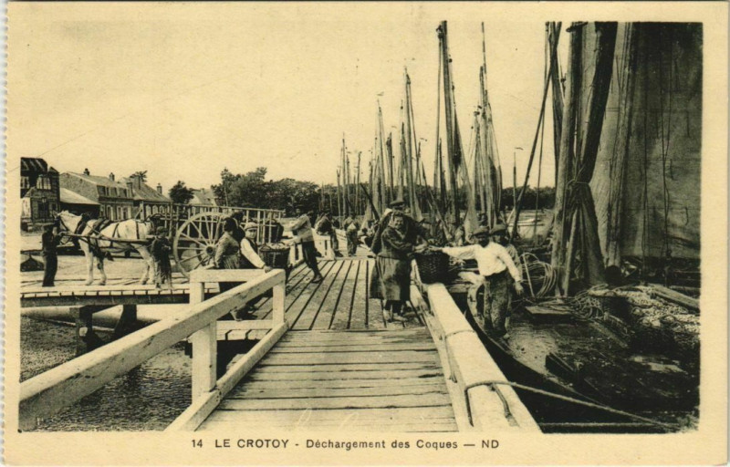 Carte postale ancienne Le Crotoy Déchargement des Coques au Crotoy
