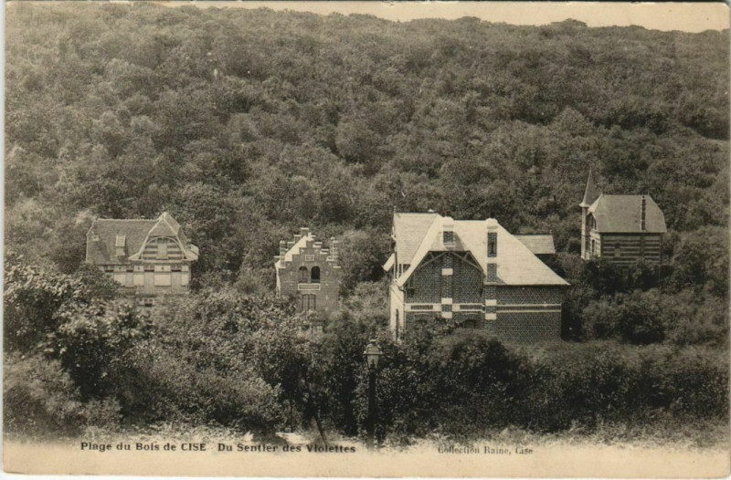 Carte postale ancienne Bois-de-Cise Sentier des Violettes