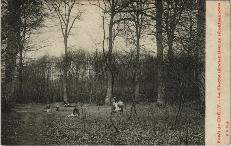 Carte postale ancienne Foret de Crecy La Flanque à Y