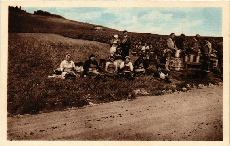Carte postale ancienne Ay - Vendanges