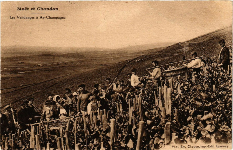 Carte postale ancienne Moet et Chandon - Les Vendanges a Ay-Champagne