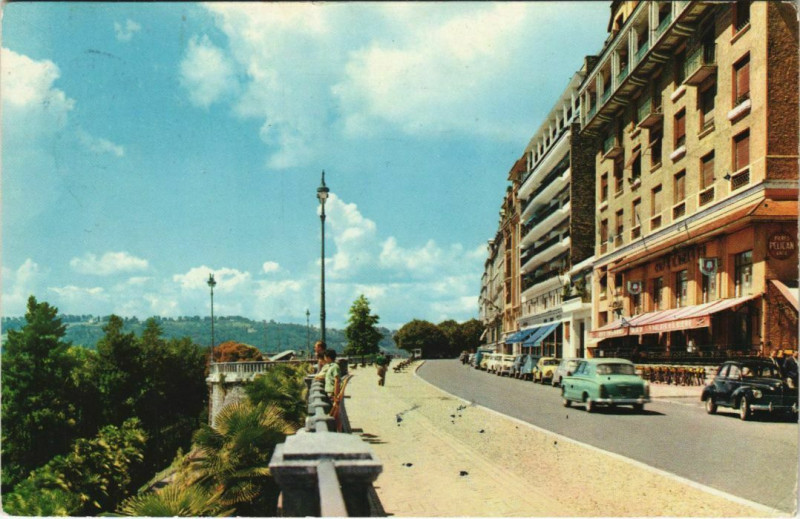 Carte postale ancienne Pau Le Boulevard et la Palmeraie France à Pau