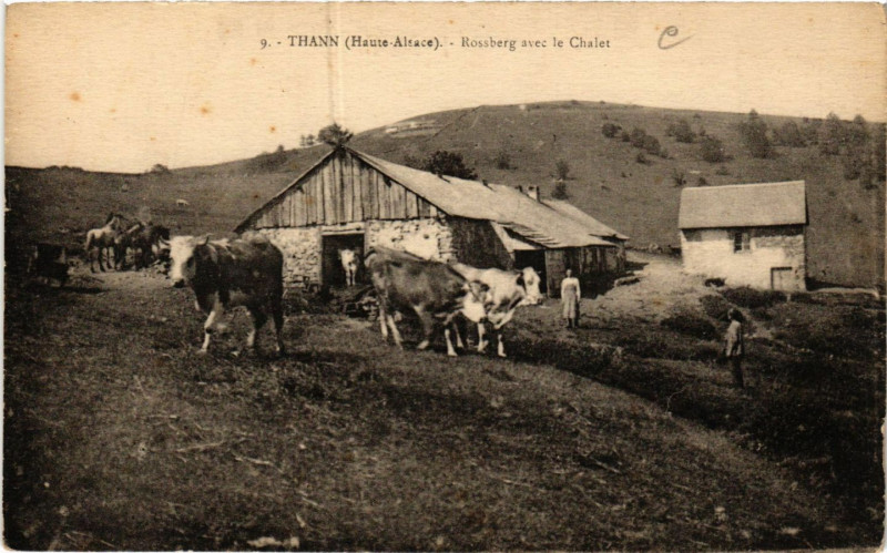 Carte postale ancienne Thann - Rossberg avec le Chalet à Thann