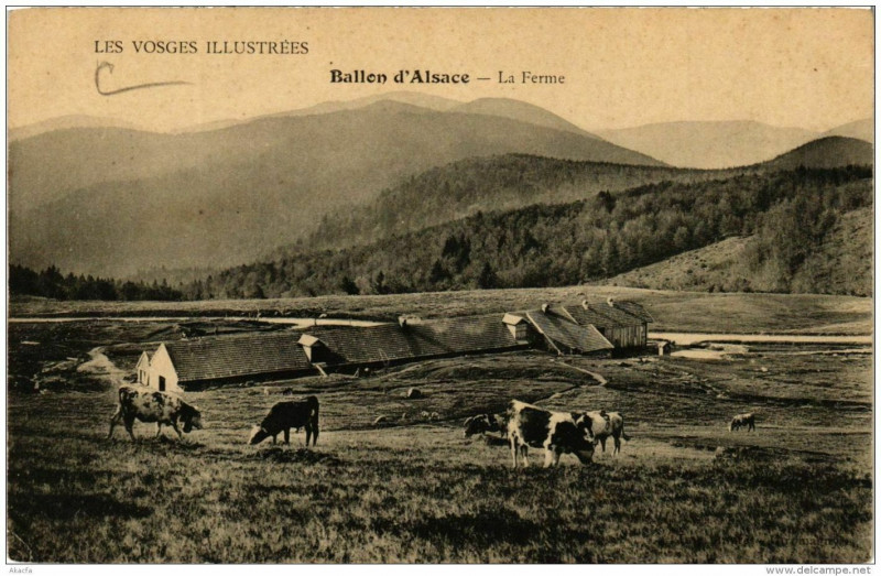 Carte postale ancienne Ballon d'Alsace La Ferme